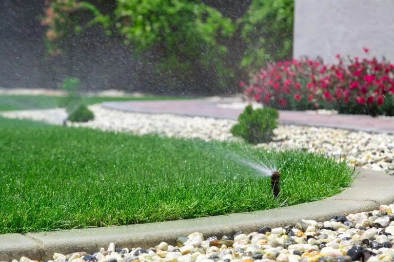 Should I Water the Lawn When the Temperature Drops?