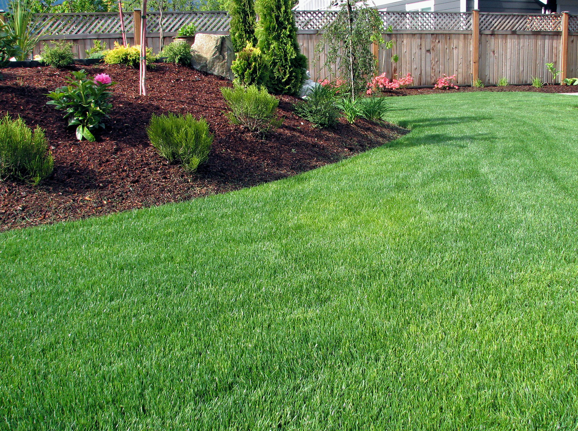 How to Keep a Green Lawn in Texas