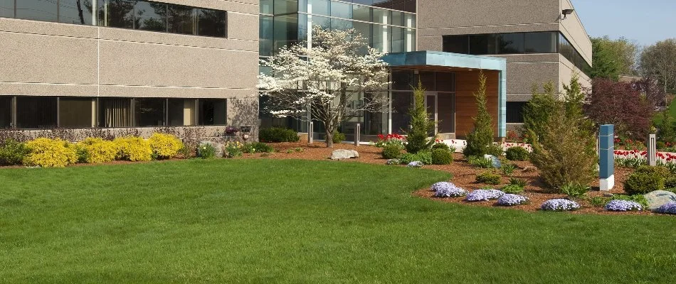 Commercial building in Allen, TX, with grass, shrubs, and plants in front.