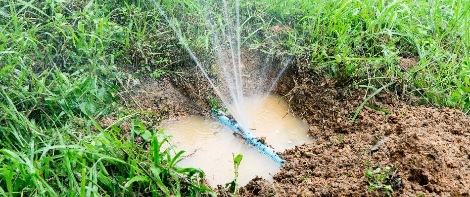 Damaged water line of an irrigation system in Flower Mound, TX, with puddle.