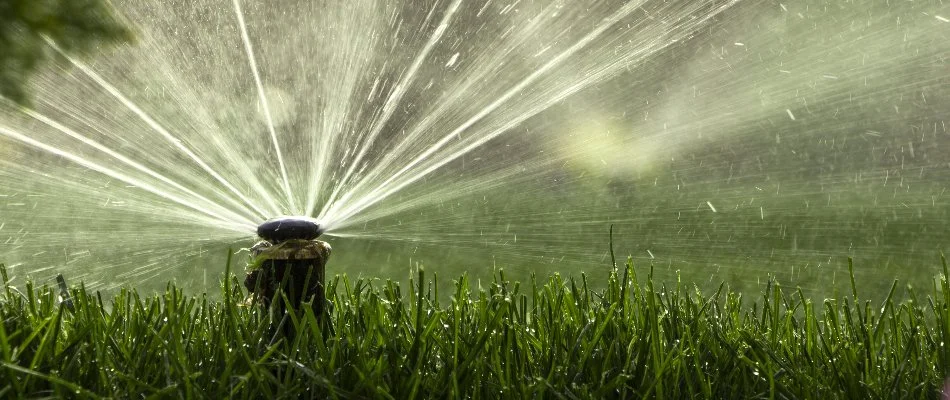 Grass in Highland Village, TX, receiving water from a sprinkler head.