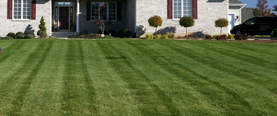 Grass in Argyle, TX, with mowing pattern.