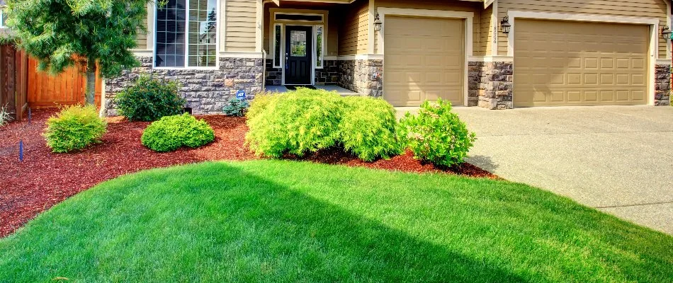 Green lawn and mulched landscape bed in front of a house in Allen, TX.