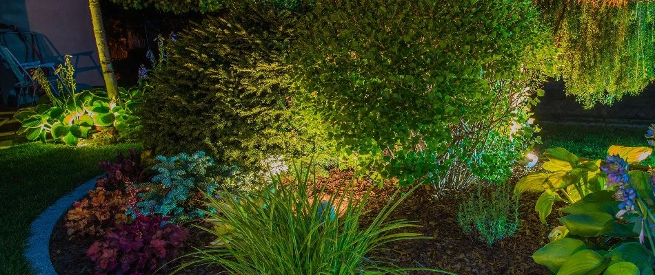 Landscape bed in Richardson, TX, with plants and outdoor lighting.