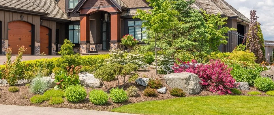 Landscape bed in Addison, TX, with shrubs, plants, and boulders.