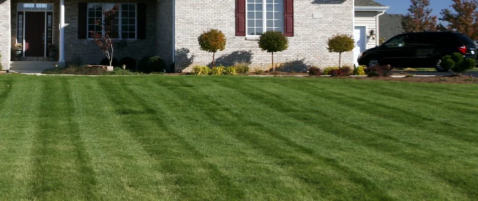 Lawn in Flower Mound, TX, with a mowing pattern near a house.