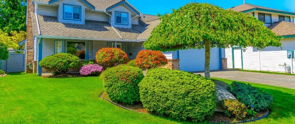 Lush shrubs and green lawn in a front yard in Flower Mound, TX.