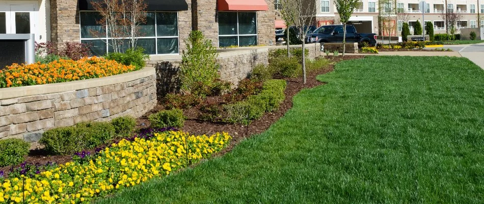 Manicured landscape in Flower Mound, TX, with mulch and plants beside a lawn.