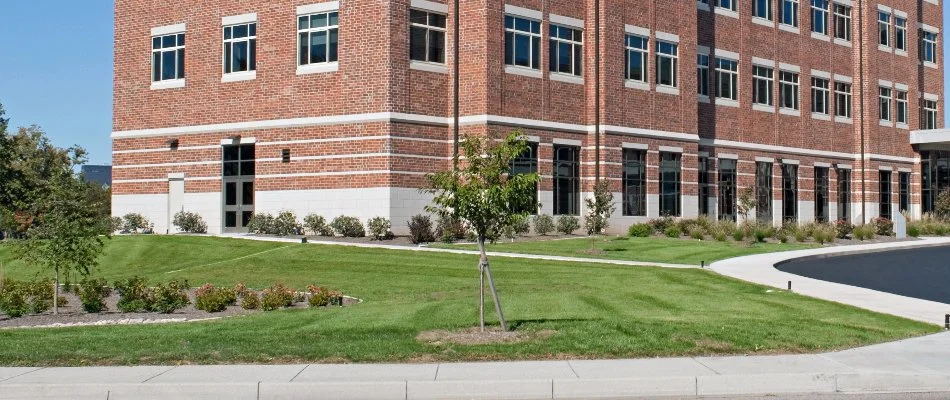 Manicured lawn with shrubs and trees on commercial grounds in Flower Mound, TX.