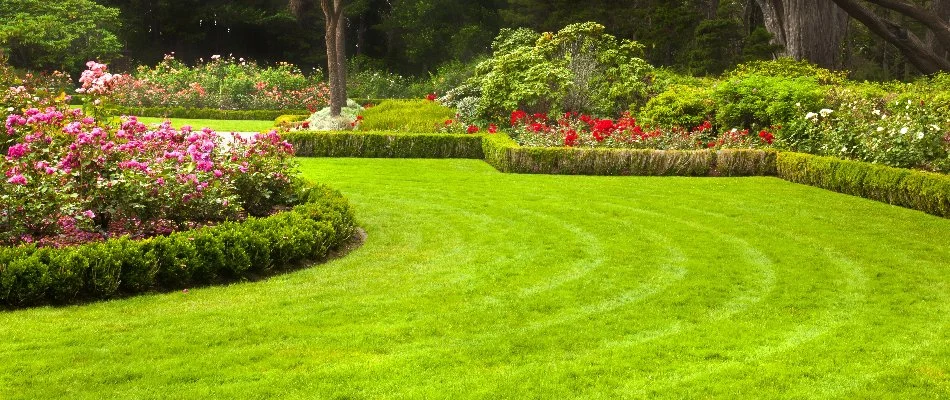 Mowed grass and landscape with flowers and plants in Flower Mound, TX.