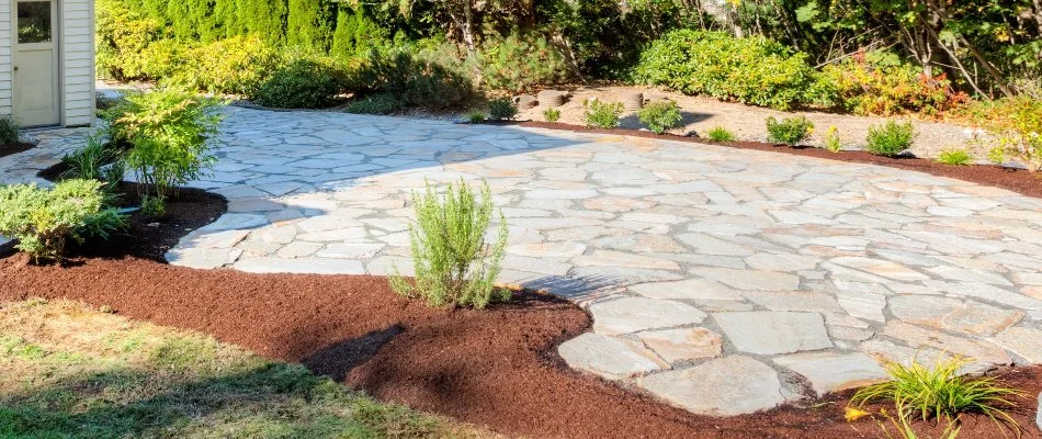 Mulched landscape bed with small plants around a patio in Lewisville, TX.