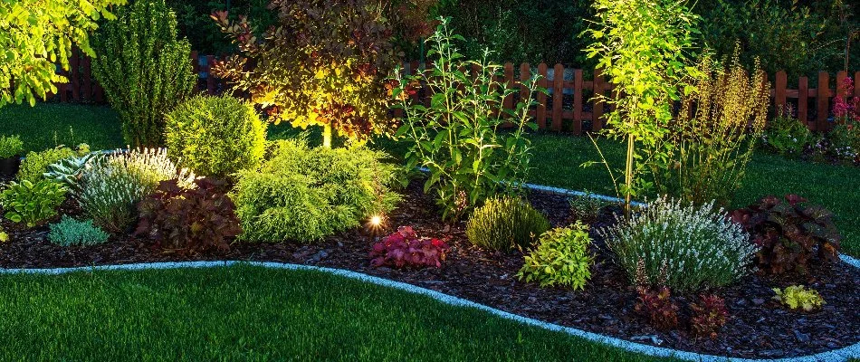 Mulched landscape bed in Flower Mound, TX, with outdoor lighting.