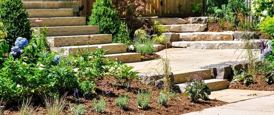 Outdoor steps and landscaping with plants and flowers in Copper Canyon, TX.