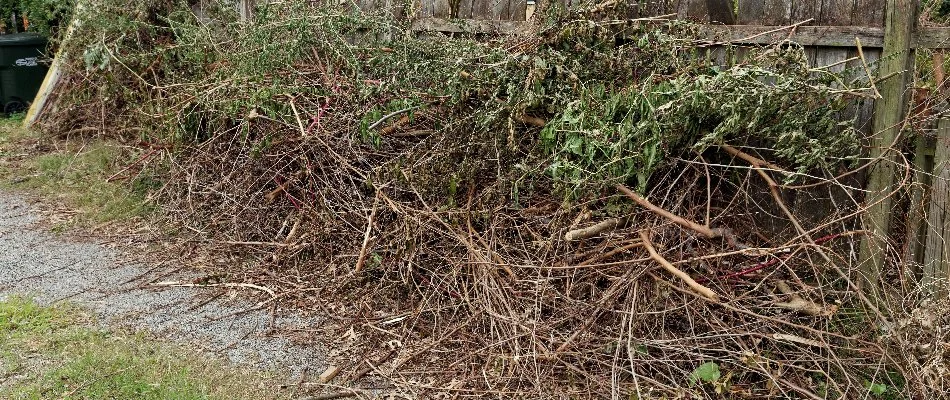 Pile of debris collected after land clearing in Flower Mound, TX.