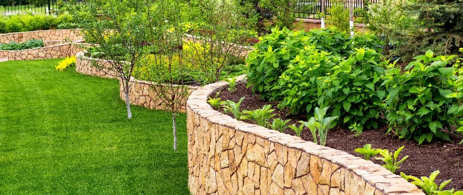 Raised planter bed on a retaining wall in Carrollton, TX.