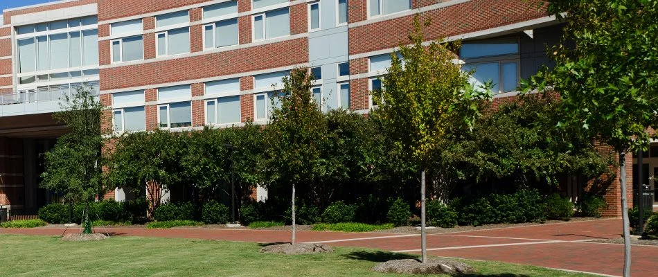 Trees and hedges in front of a commercial building in Flower Mound, TX.