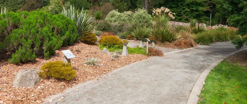 Walkway in Lake Dallas, TX, along a landscape with lush plants.