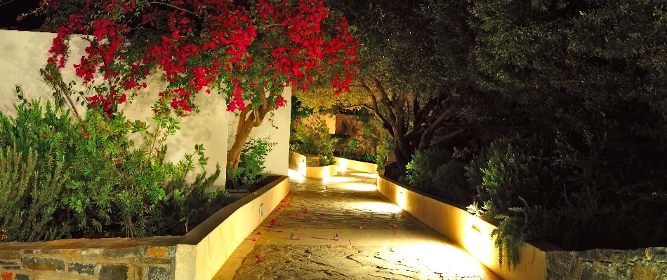 Walkway with flowers, plants, and outdoor lighting in Corinth, TX.