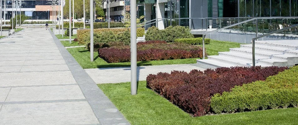 Walkways and outdoor steps near landscaping on a commercial property in Flower Mound, TX.