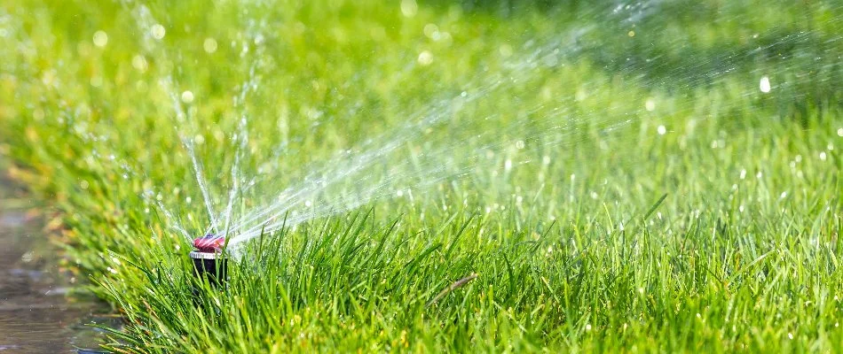 Water being released from a sprinkler head on a lawn in Lewisville, TX.