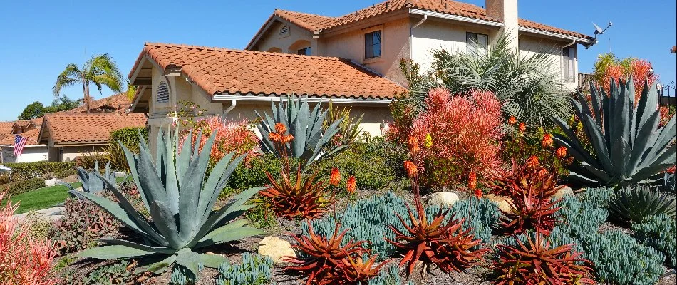 Xeriscaping in Flower Mound, TX, with drought tolerant plants.