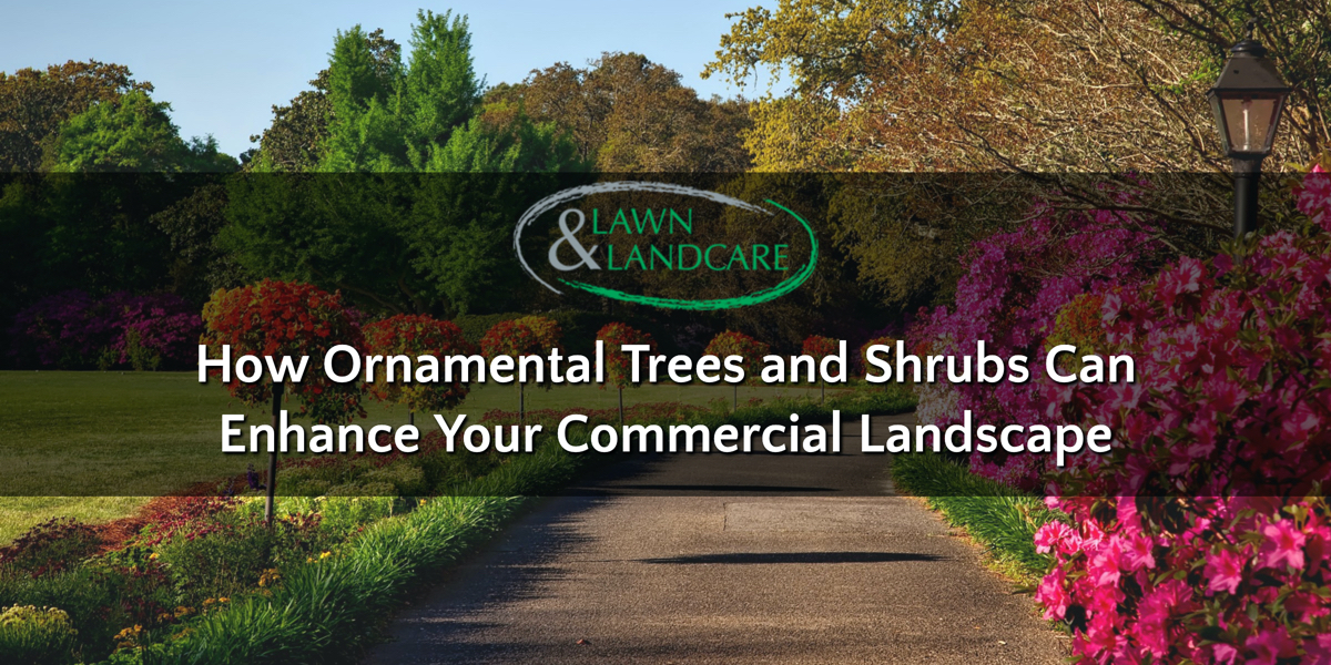 How Ornamental Trees And Shrubs Can Enhance Your Commercial Landscape 3735